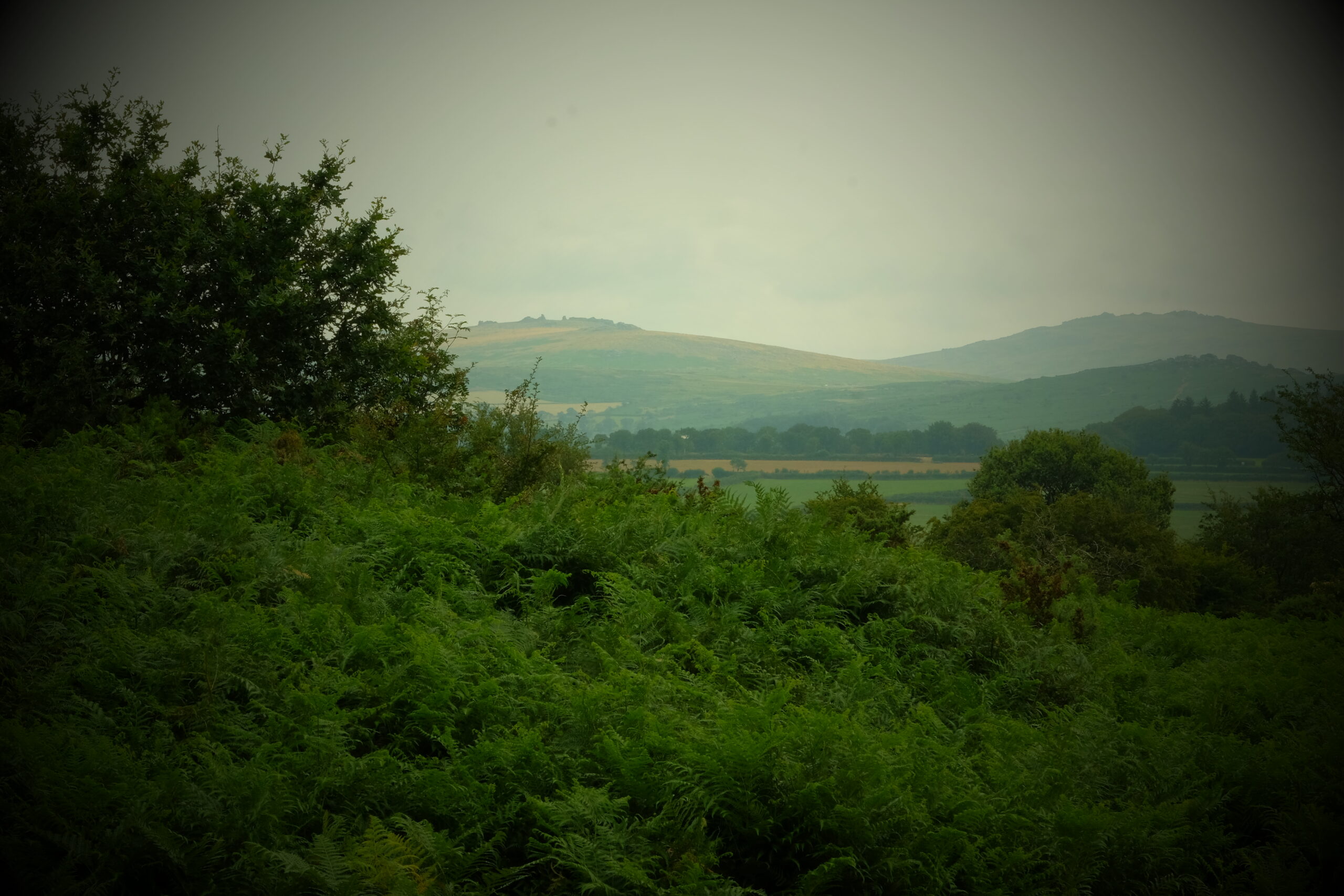DSCF1436